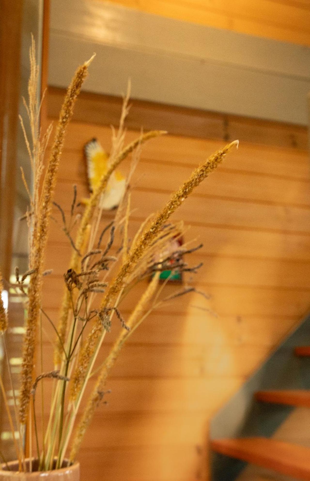 Bombah Point Eco Cottages 불라디라 외부 사진